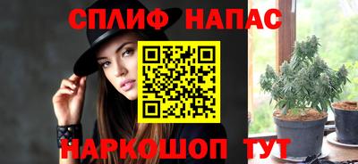 тгк Пугачёв