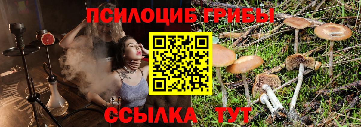 закладка  Псилоцибиновые грибы GOLDEN TEACHER  Вход с VPN  Тихвин 