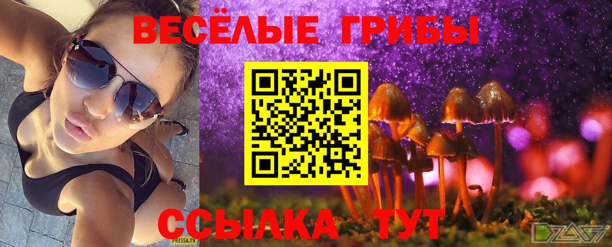 Галлюциногенные грибы прущие грибы Тихвин